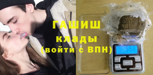 винт Абаза