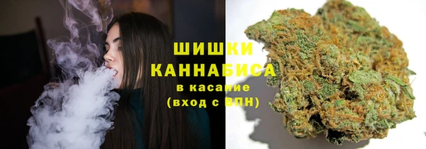 винт Абаза
