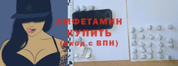 винт Абаза