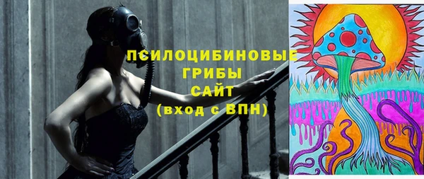 винт Абаза